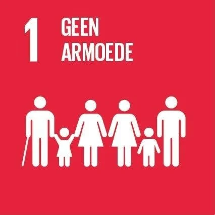 SDG 1: No poverty